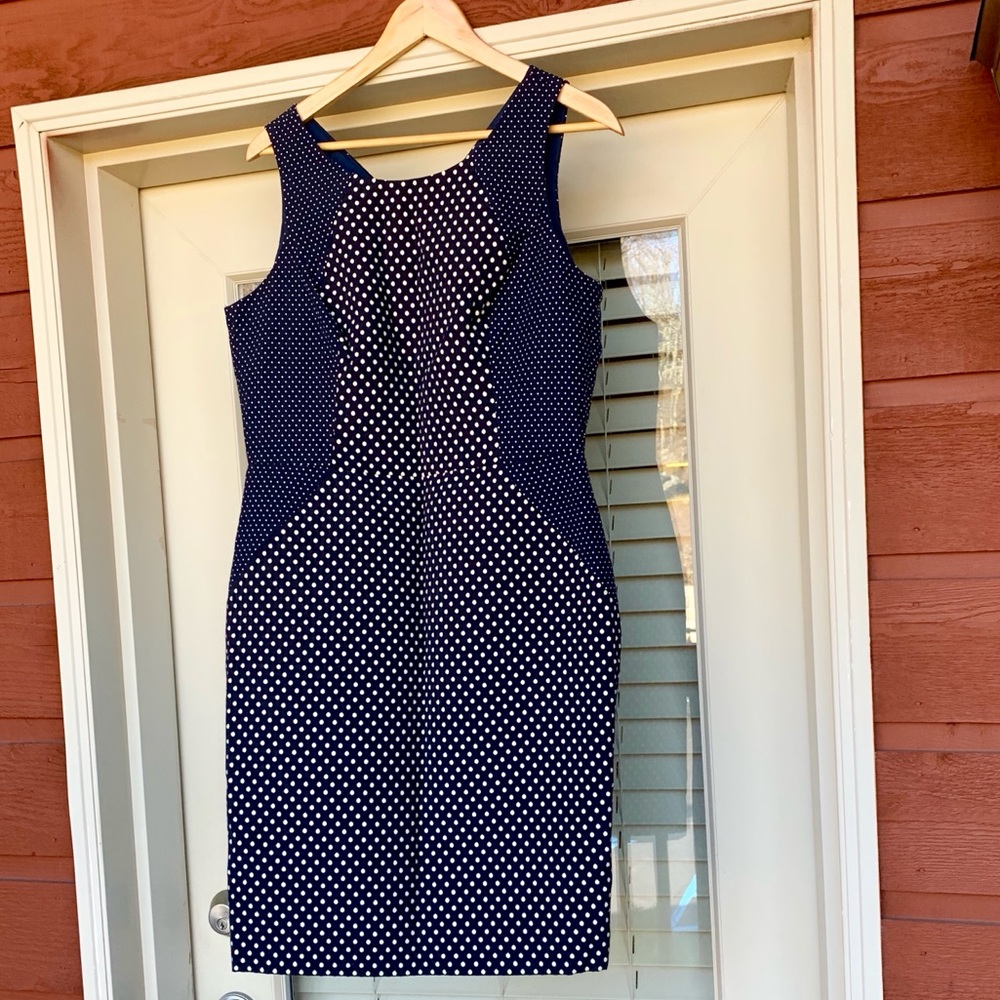 NWT Banana Republic Polka Dot dress